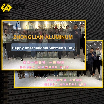 Jonglian alyuminiy ayollar kunida Professiyalar